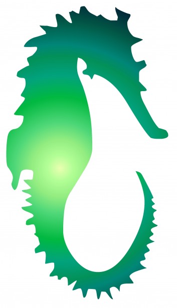 353x615 Sea Horse Silhouette Free Stock Photo