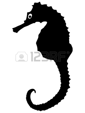 338x450 Silhouette Of The Seahorse On White Background Royalty Free