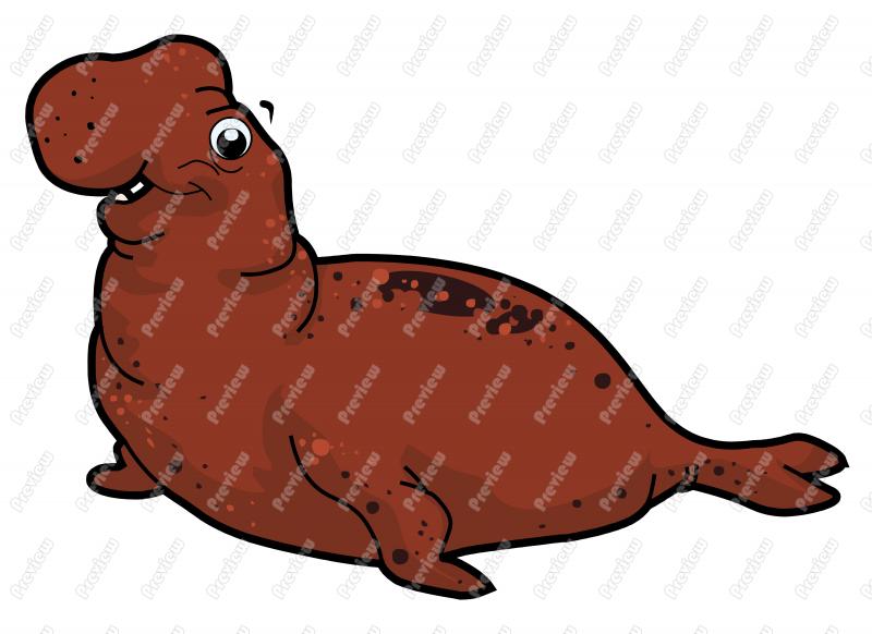 800x582 Elephant Seal Character Clip Art