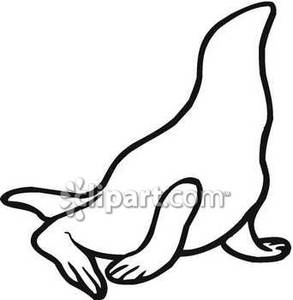 293x300 Of A Seal
