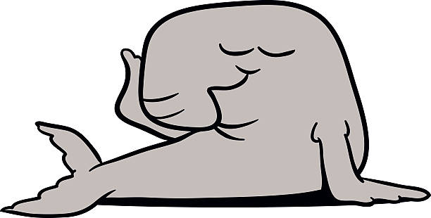 612x310 Elephant Seal Clipart Black And White