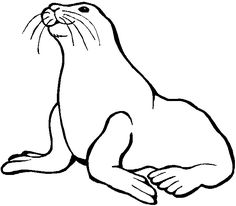 236x206 Sea Lion Clipart Water Animal
