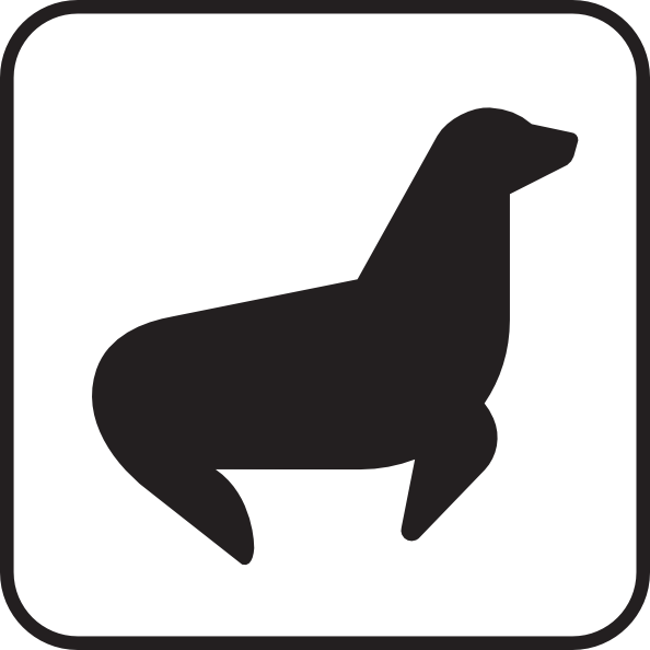 594x594 Seal Viewing White Clip Art