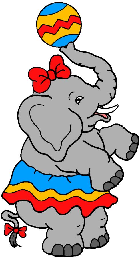 490x903 Elephant Seal Clipart Circus