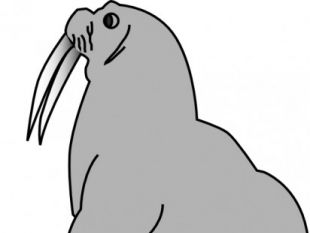 310x233 Mountain Seal Clip Art Free Vectors Ui Download