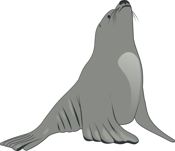 600x520 Sea Lion Clip Art Free Clipart Panda