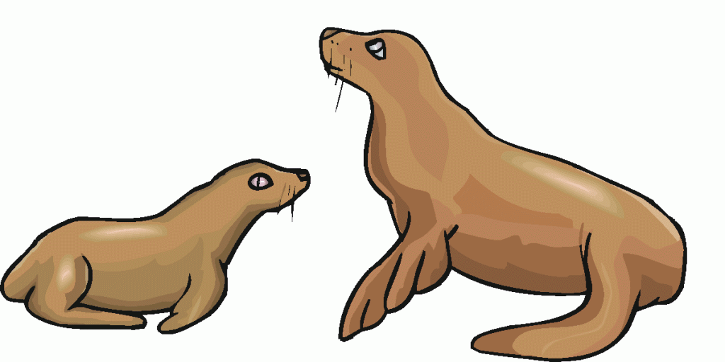 1024x512 Sea Lion Clipart