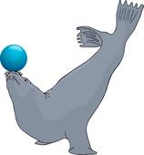 158x170 Seal Cub Clip Art