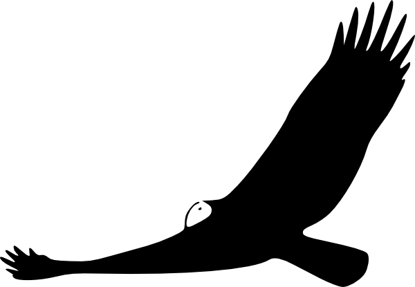 600x415 Turkey Vulture Clip Art Free Vector 4vector