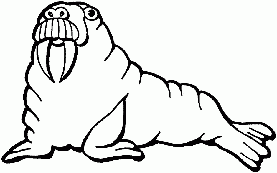 940x587 Seal Coloring Pages