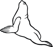 176x156 Seals Coloring Pages Free Coloring Pages