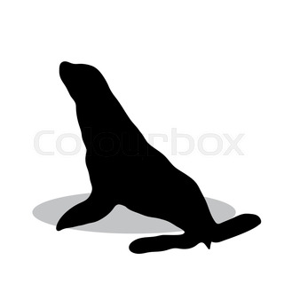 320x320 Animals Black Outlines Over White Stock Vector Colourbox