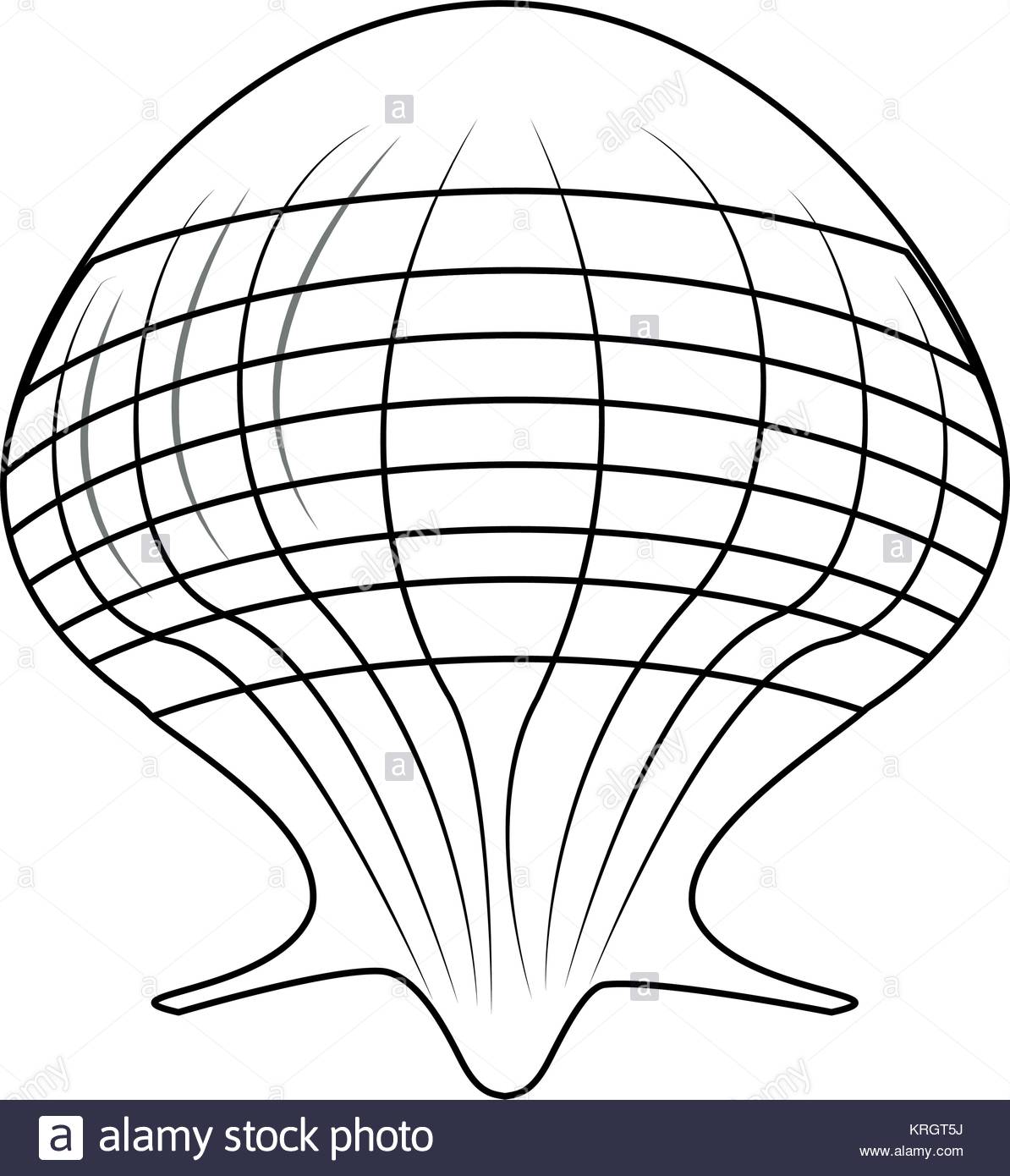 1194x1390 Conch Shell Black And White Stock Photos Amp Images