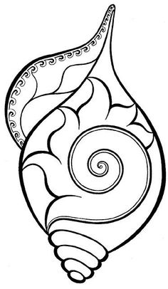 236x406 Images For Gt Simple Seashell Drawings Tattoos I Want