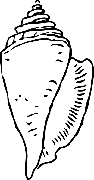 312x595 Seashell Black Clip Art