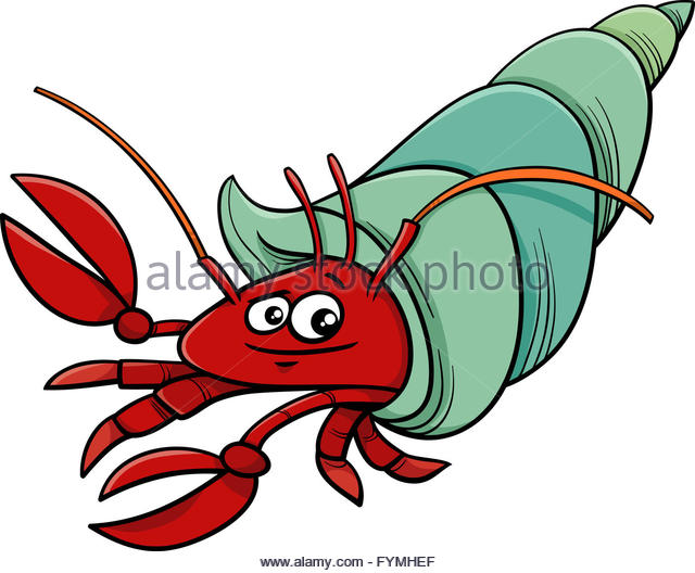 640x528 Cute Seashell Cartoon Design Stock Photos Amp Cute Seashell Cartoon