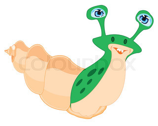 320x256 Seashell Stock Vector Colourbox