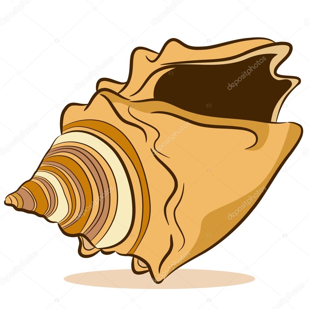1024x1024 Seashell Cartoon Clipart Images