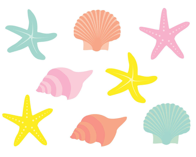 830x664 Seashell Clipart