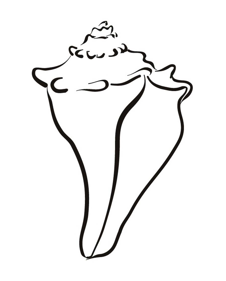 900x1120 Seashell Coloring Pages