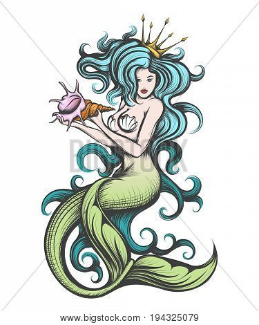 375x470 Seashell Images, Illustrations, Vectors