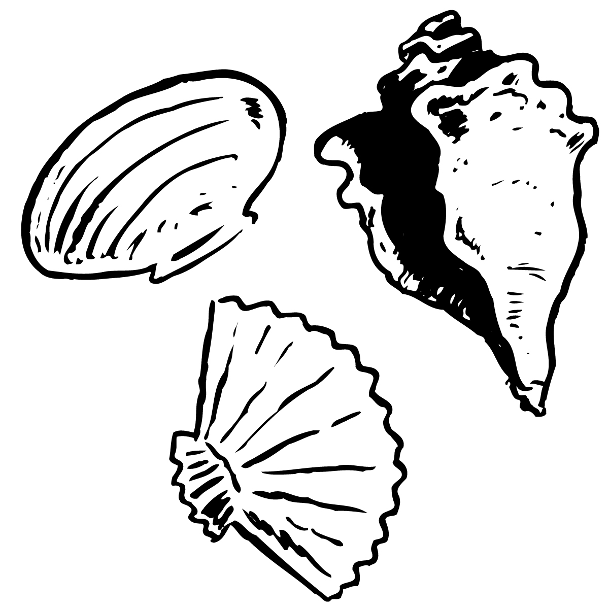 1200x1200 Shells Clip Art Seashell Cartoon Clipart Seashell Cartoon Vector 2