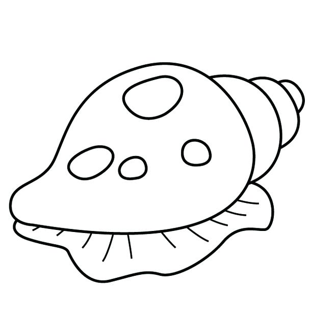 610x610 Seashell Coloring Page