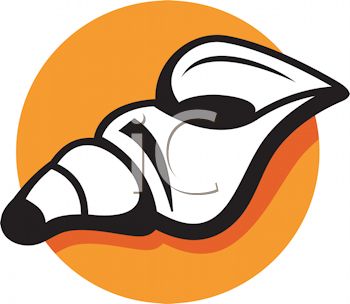350x304 Conch Seashell Icon