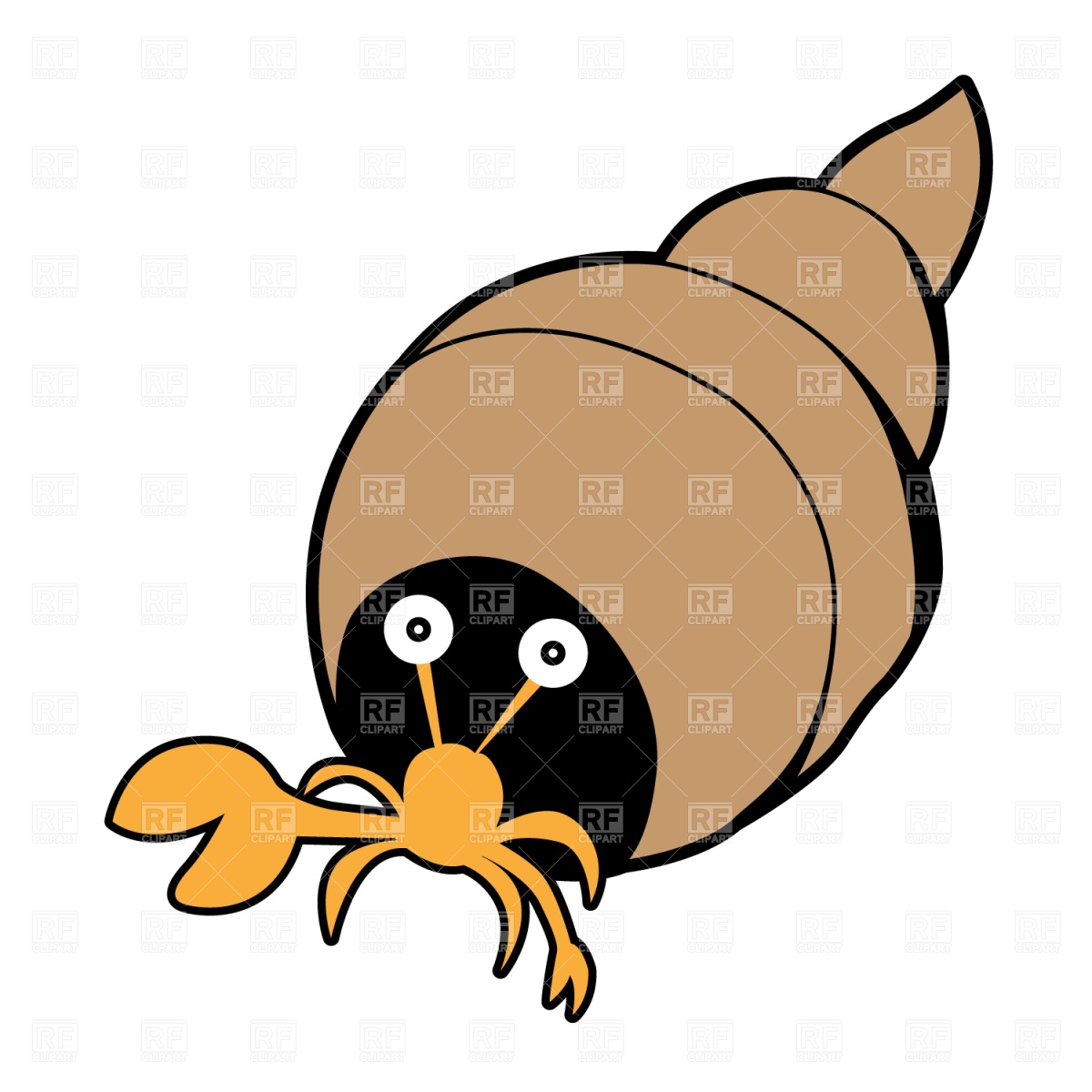 1200x1200 Hermit Crab Clipart Seashell