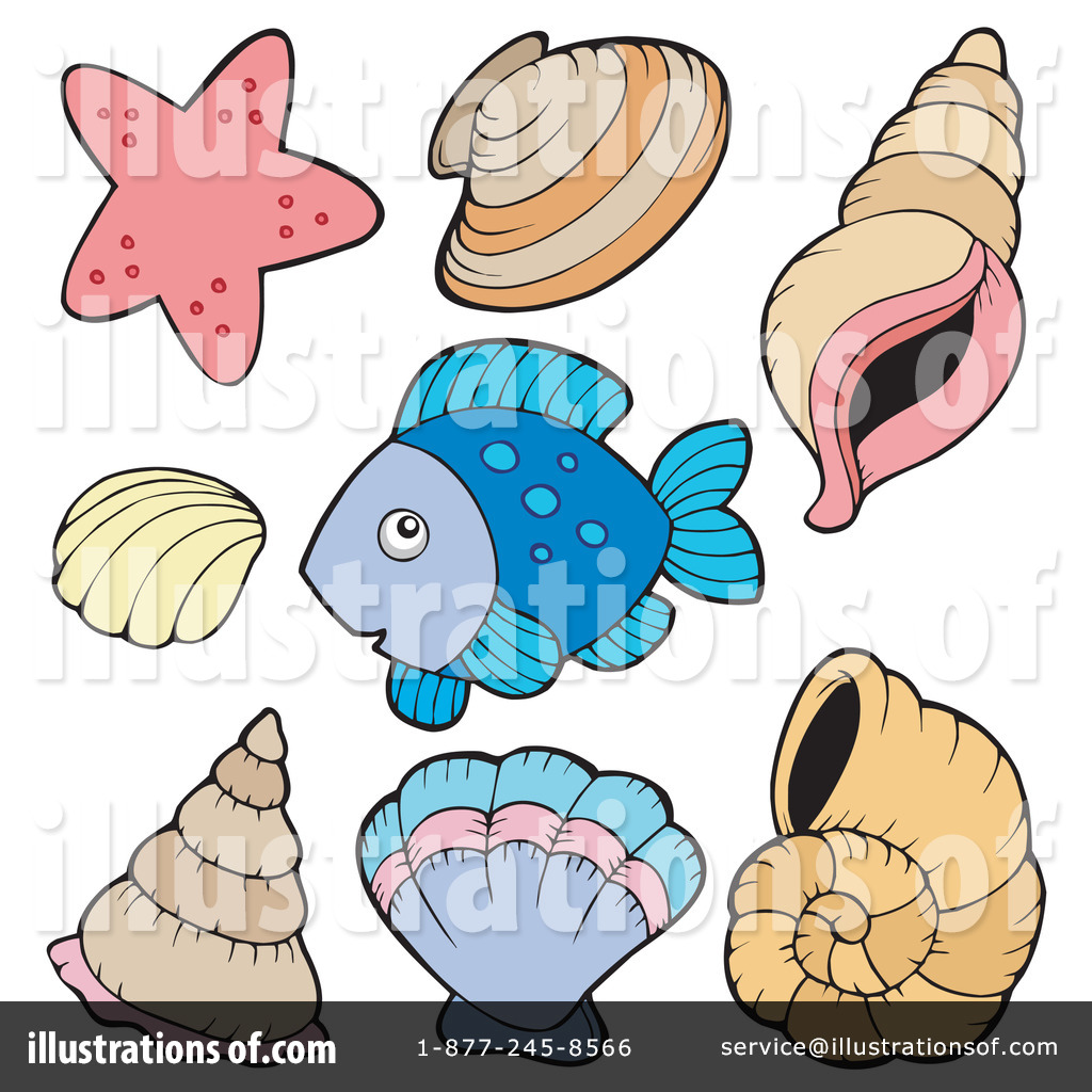 1024x1024 Clip Art Sea Shells Clip Art