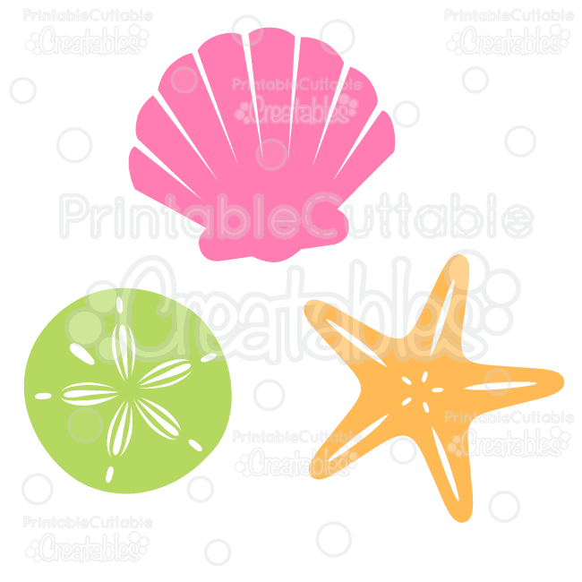 650x650 Seahorse Clipart Seashell