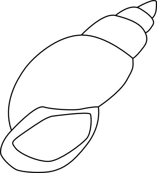 540x596 Seashell Outline Clip Art