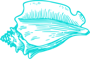 299x195 Teal Light Conch Shell Clip Art
