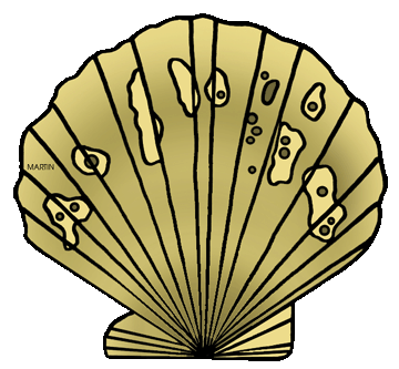 360x333 Free Shells Clip Art By Phillip Martin