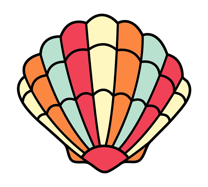 800x720 Nature Seashell Clipart, Explore Pictures