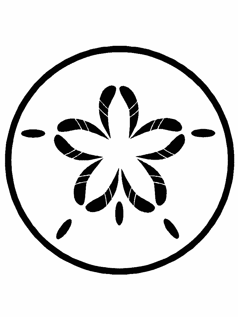 768x1024 Sand Dollar Images Clip Art