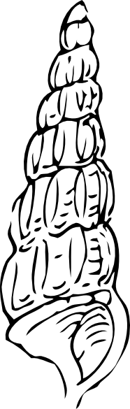 186x585 Vector Free Vectors Download 4vector