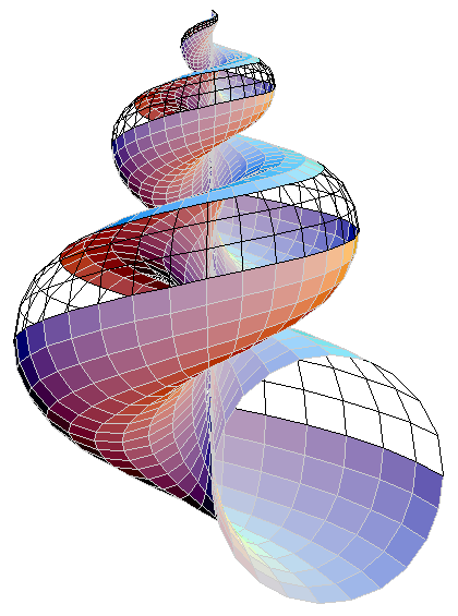 420x565 Mathematics Of Seashell Shapes