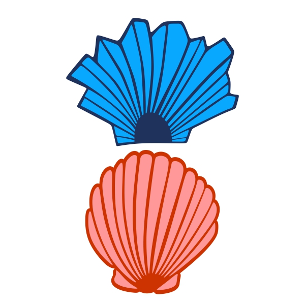 600x600 Seashell Cuttable Design