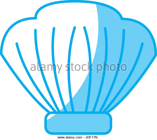 605x540 Water Seashell Underwater Wildlife Stock Photos Amp Water Seashell