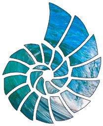 209x255 Ocean In A Shell Gifs With Transparent Background