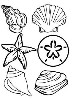 236x333 Images For Gt Simple Seashell Drawings Tattoos I Want