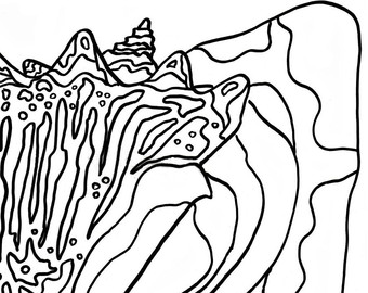 340x270 Sea Shell Art Etsy Studio