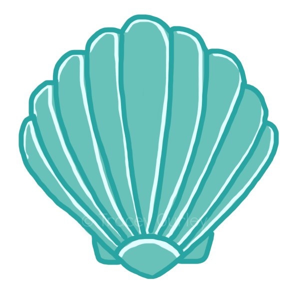 600x600 Seashell Clipart