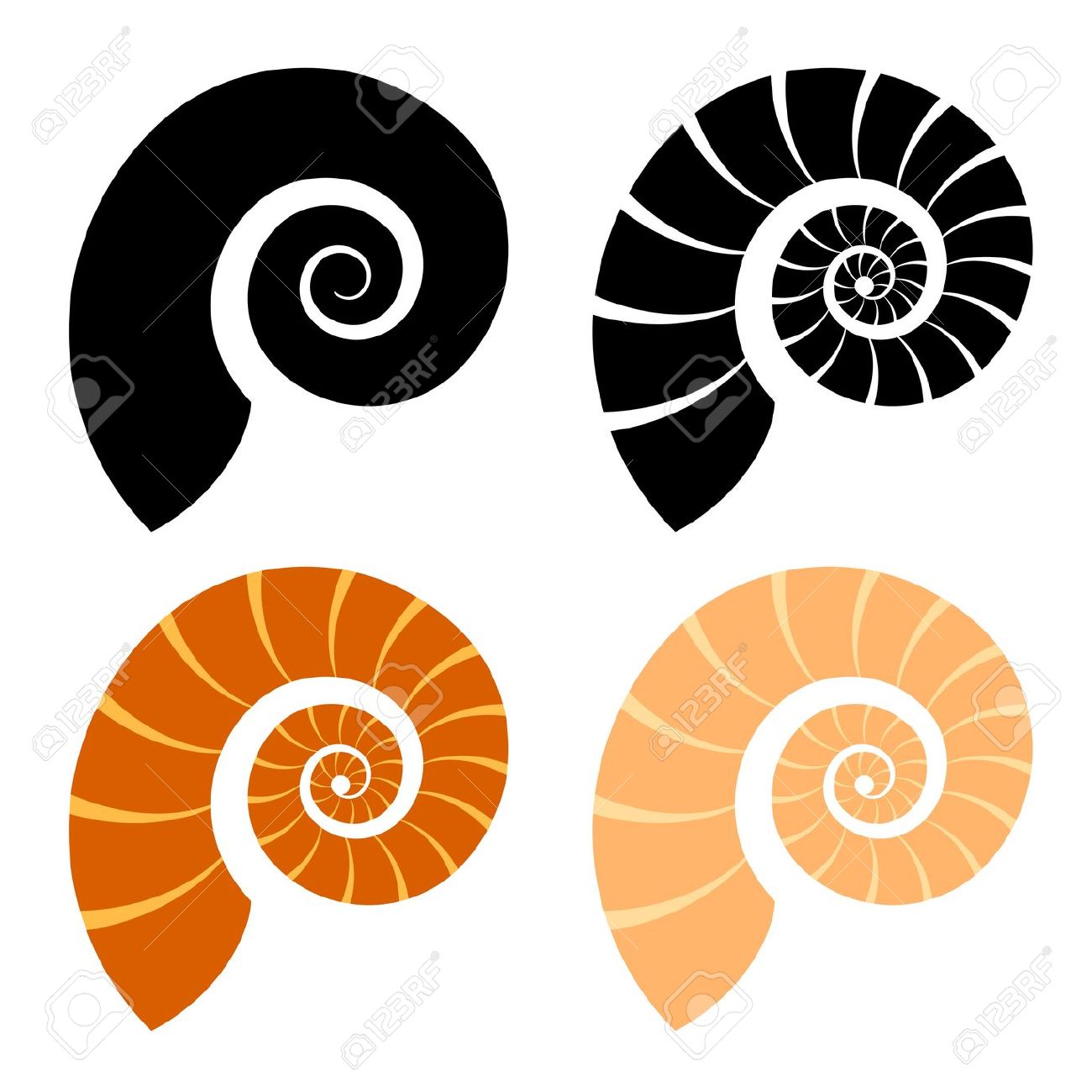 1300x1300 Snail Seashell Clipart, Explore Pictures