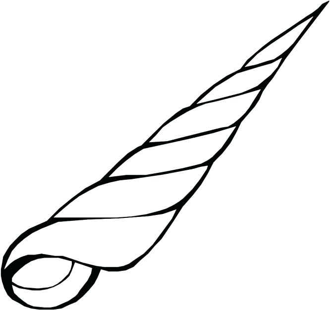 666x626 Seashell Coloring Page