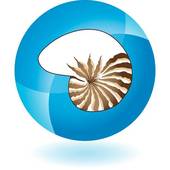 170x170 Seashell Clip Art