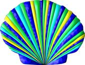 170x131 Seashell Stock Illustrations