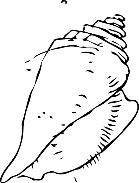 450x593 Free Seashell Silhouette Clipart