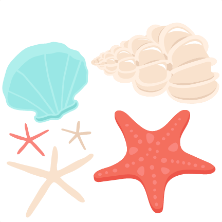 432x432 Seashell Set Svg Scrapbook Cut File Cute Clipart Files